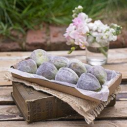 《女神异闻录５ 战略版》“喜多川佑介”预告 11月17日发售